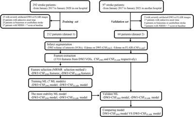 MRI Radiomics Features From Infarction and Cerebrospinal Fluid for Prediction of Cerebral Edema After Acute Ischemic Stroke